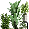 Various Green Potted Plants With Different Leaf Shapes In Decorative Metal And Ceramic Containers 3d model