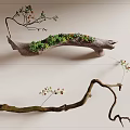 Natural Branch Decor With Small Plants Red Berries And Green Moss