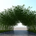 Lush Bamboo Archway Creating Scenic Pathway Through Green Grass Under Blue Sky
