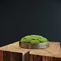 Moss Covered Bonsai Plant In Metal Pot On Wooden Base With Dark Background