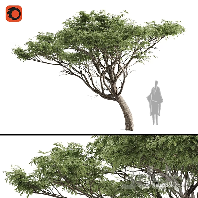 Ornamental Decor Combination With Tall Tree Lush Green Leaves And Silhouette Figure 3d model 