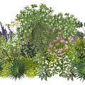 Mixed Plant Combination With Diverse Colorful Flowers And Lush Green Foliage