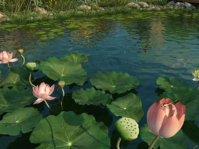 modern lotus 3d model