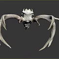 Artistic Deer Skull With Large Antlers And White Bone On Gray Background