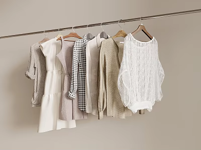 Various Beige White Gray Clothes Hanging On Wooden Hangers With Knitted Sweater And Dress 3d model