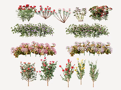 Assorted Colorful Garden Flowers And Plants With Various Species And Vibrant Blooms 3d model