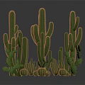 Various Green Cactus Plants Featuring Columnar And Round Stems In 3D Render