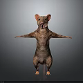 Standing Fictional Creature Character With Orange Ears Patterned Body And Outstretched Arms