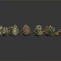 Pine cone plant game item 3d model