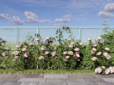 Vibrant Pink Roses Blooming Beside Green Fence Under Blue Sky With White Clouds 3d model