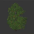 Festive Decorated Pine Tree With Green Branches And Colorful Decorative Balls