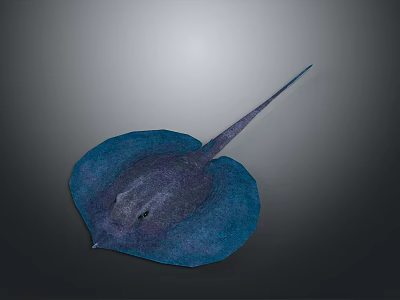 Blue Ray With Flat Body And Long Tail In Gray Background 3D Rendering 3d model