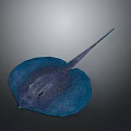 Blue Ray With Flat Body And Long Tail In Gray Background 3D Rendering