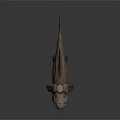 3D Modeled Prehistoric Fish as Ancient Marine Creature With Fierce Appearance Sharp Teeth Detailed Design