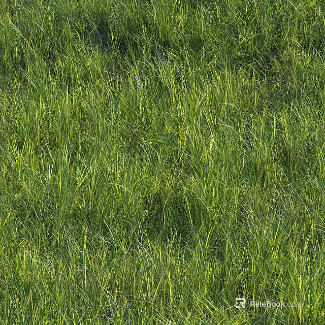 Lush Green Grass Field With Sunlit Blades Soft Texture And Natural Beauty 3d model 
