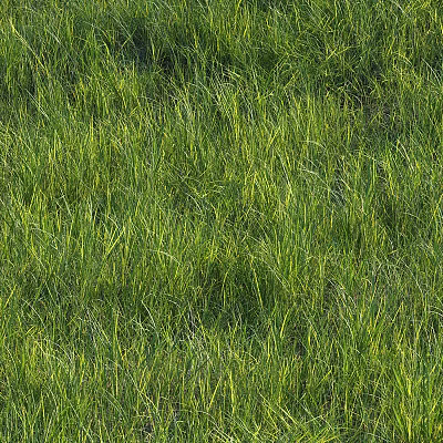 Lush Green Grass Field With Sunlit Blades Soft Texture And Natural Beauty 3d model