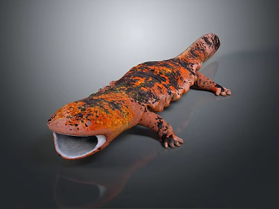 Salamander With Orange And Black Coloration Lying On Gray Surface With Open Mouth 3d model