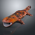 Salamander With Orange And Black Coloration Lying On Gray Surface With Open Mouth