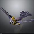 Colorful Bird With Yellow Head Purple Wings And Blue Tail Spreading Wings On Dark Background