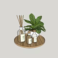 Perfume Cosmetics Display With Aromatic Bottles Reed Diffusers And Green Plant On Wooden Tray
