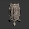 Realistic Turtle With Textured Shell Standing On Dark Surface Detailed Skin And Lifelike Design