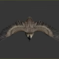 Canada Goose Spreading Wings In Flight Pose On Gray Background With Reflection
