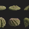 Diverse Shaped Garden Shrubs With Green Foliage And Landscaping Elements