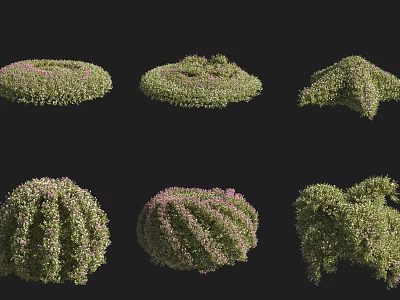 Diverse Shaped Garden Shrubs With Green Foliage And Landscaping Elements 3d model