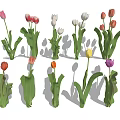 Colorful Tulip Flowers Arranged In Vase With Fresh Green Stems And Leaves
