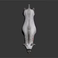 White Hyena With Pink Neck Stripes Standing In Gray Background