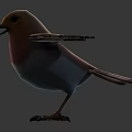 Realistic 3D Bird Model With Brown Feathered Wings Red Chest White Belly And Open Wings