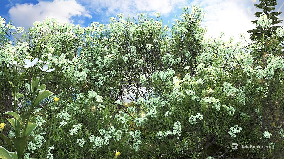 Lush Green Plants with White Flowers under Blue Sky and Sunny Weather 3d model 