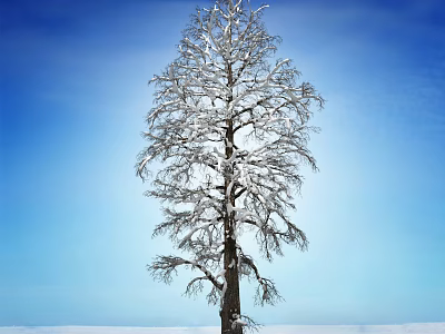 Snow Covered Tall Arbor With Bare Branches Against Clear Blue Sky And Snowy Ground 3d model