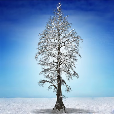 Snow Covered Tall Arbor With Bare Branches Against Clear Blue Sky And Snowy Ground 3d model