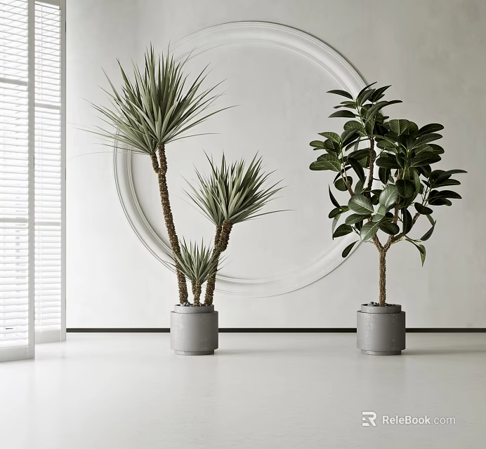Tall Leafy Potted Plants In Gray Pots By White Wall With Circular Decor And Blinds 3d model 