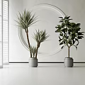 Tall Leafy Potted Plants In Gray Pots By White Wall With Circular Decor And Blinds