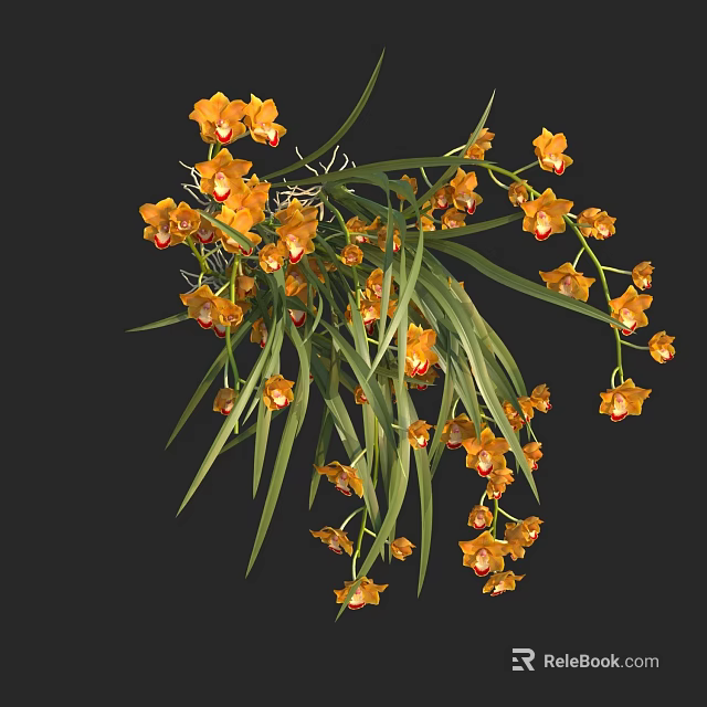 Vibrant Yellow Orange Orchids With Green Long Leaves Hanging Fresh Blooms 3d model 