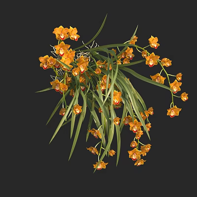 Modern Orange Orchid 3d model