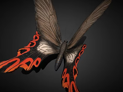 Game Movie Character Butterfly with Black Orange Wing Patterns and Detailed Design 3d model