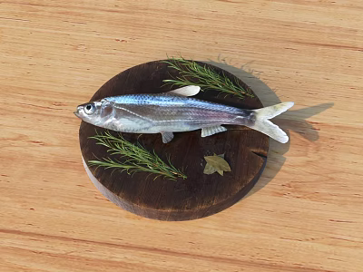 Fish 3D Model 3d model