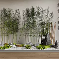 Green Bamboo in Serene Garden Path with Stone Moss and Hanging Vines