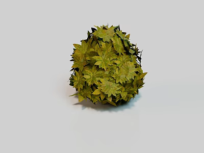 Green Leafy Plant Sphere With Fresh Round Decorative Foliage Design 3d model