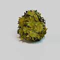 Green Leafy Plant Sphere With Fresh Round Decorative Foliage Design