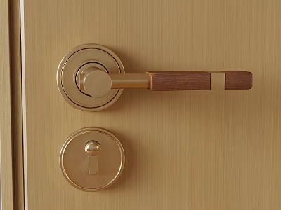 Golden Door Handle With Wooden Grip And Matching Lock On Wooden Door 3d model