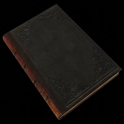 Vintage Leather Bound Book With Black Cover And Ornate Brown Spine Design 3d model