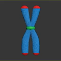 Blue Structure With Red Ends And Green Central Ring On Dark Surface