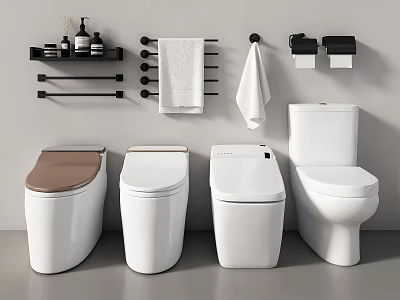 Modern Bathroom Toilets With Towel Rack Toilet Paper Holder And Storage Shelf 3d model