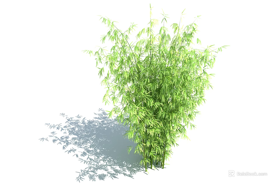 Lush Green Bamboo Plant With Tall Stems And Dense Foliage In Natural Setting 3d model 