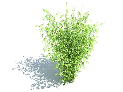 Lush Green Bamboo Plant With Tall Stems And Dense Foliage In Natural Setting 3d model