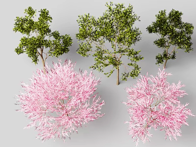 Different Types of Colorful Trees with Green Foliage and Pink Flowering Features 3d model
